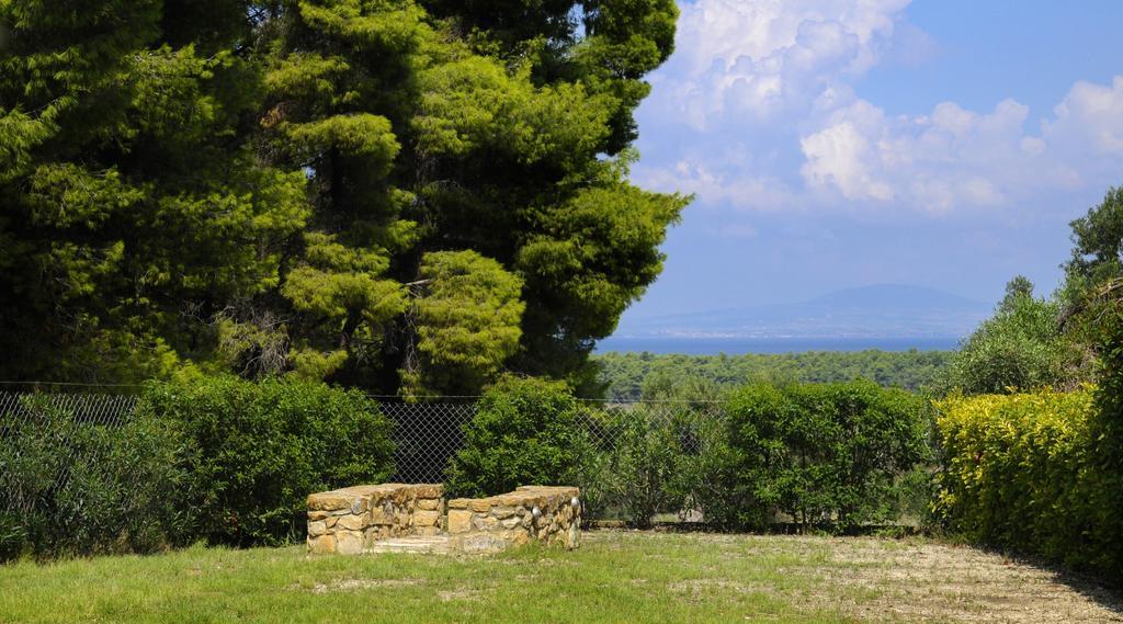 Olivos Villa Sani Sani  Habitación foto